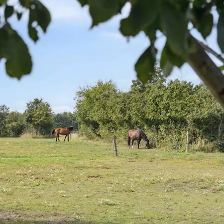 شقة Timber-frame Flat Near Vålse